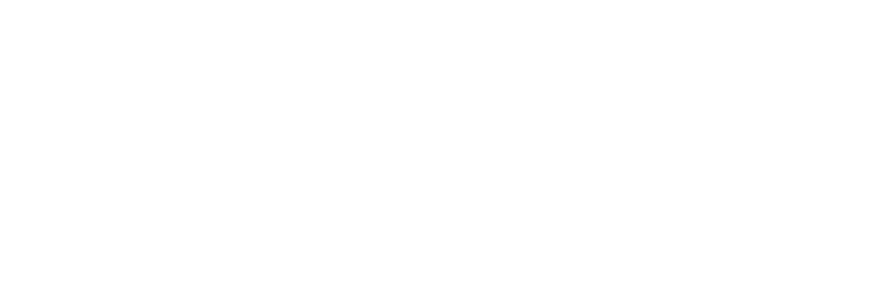Ziani